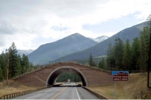 Wildlife Bridge along U.S. Highway 93 on the Flathead Reservation, complete with Placename sign.  