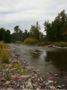 Photo of a section of the Jocko River that is the currently being restored. Photo by author