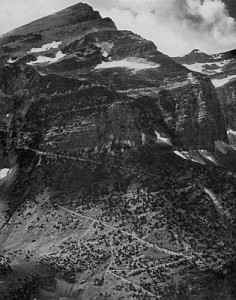 Trail up Swiftcurrent Pass Glacier National Park (no attribution).  From here.